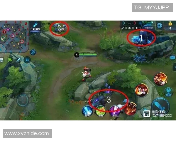 s15电竞深度解析V5战队比赛经验与其他战队的对比分析