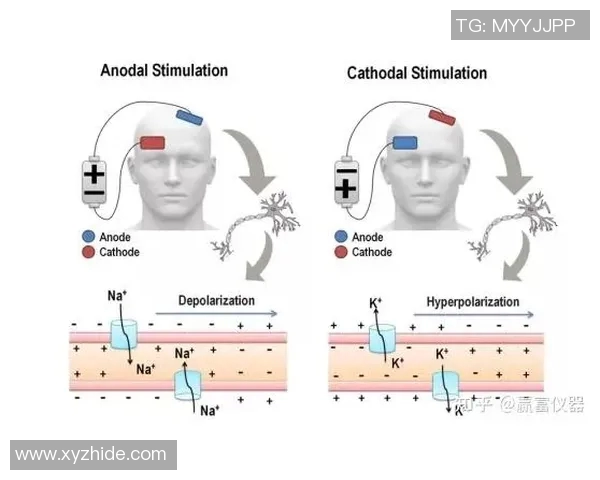 深入分析TES包夹打法的战术优势与实战应用技巧