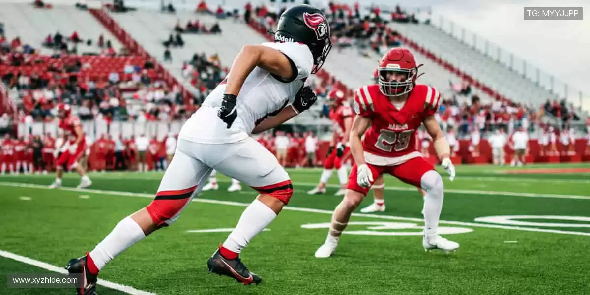 球迷专属,把热爱穿在身上!👕💪